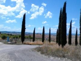 Foto Toscana Italia fotografa greca MarinakiMA Mediajob.eu