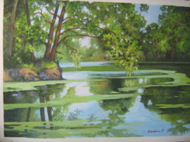 Mio dipinto a tempera 47 x 32.Specchio della natura